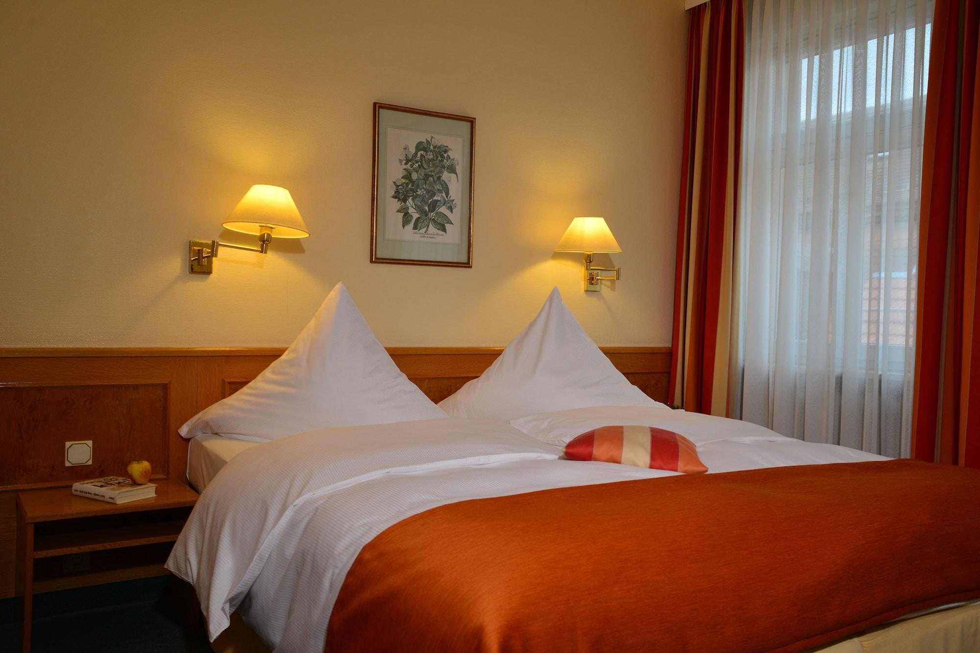 ซิตี้ พาร์ตเนอร์ โฮเทล ฮ็อลลันเดอร์ โฮฟ Hotel ไฮเดลเบิร์ก ภายนอก รูปภาพ